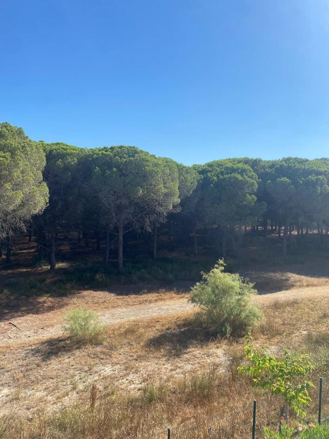 Studio Cabine Mer Et Pinede 26M2: 4Pers, Neuf, Cosy La Grande-Motte Kültér fotó